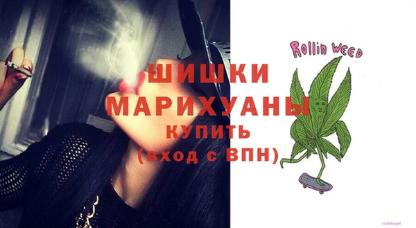 apvp Алзамай