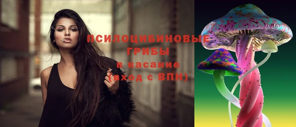 МДПВ Алексин