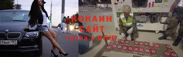 МДПВ Алексин