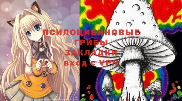apvp Алзамай
