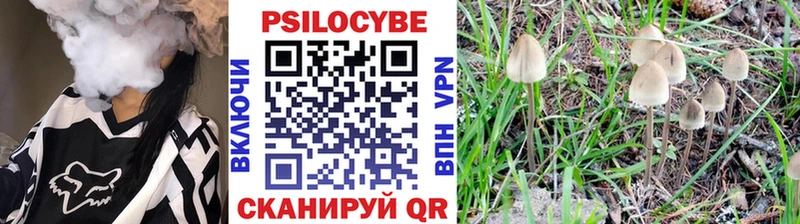 Галлюциногенные грибы Cubensis  kraken зеркало  Тюкалинск 